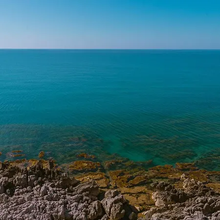 Maison d'hôtes Taliammari 4*